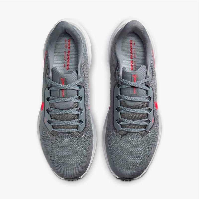 DEPORTIVO NIKE AIR ZOOM PEGASUS 41