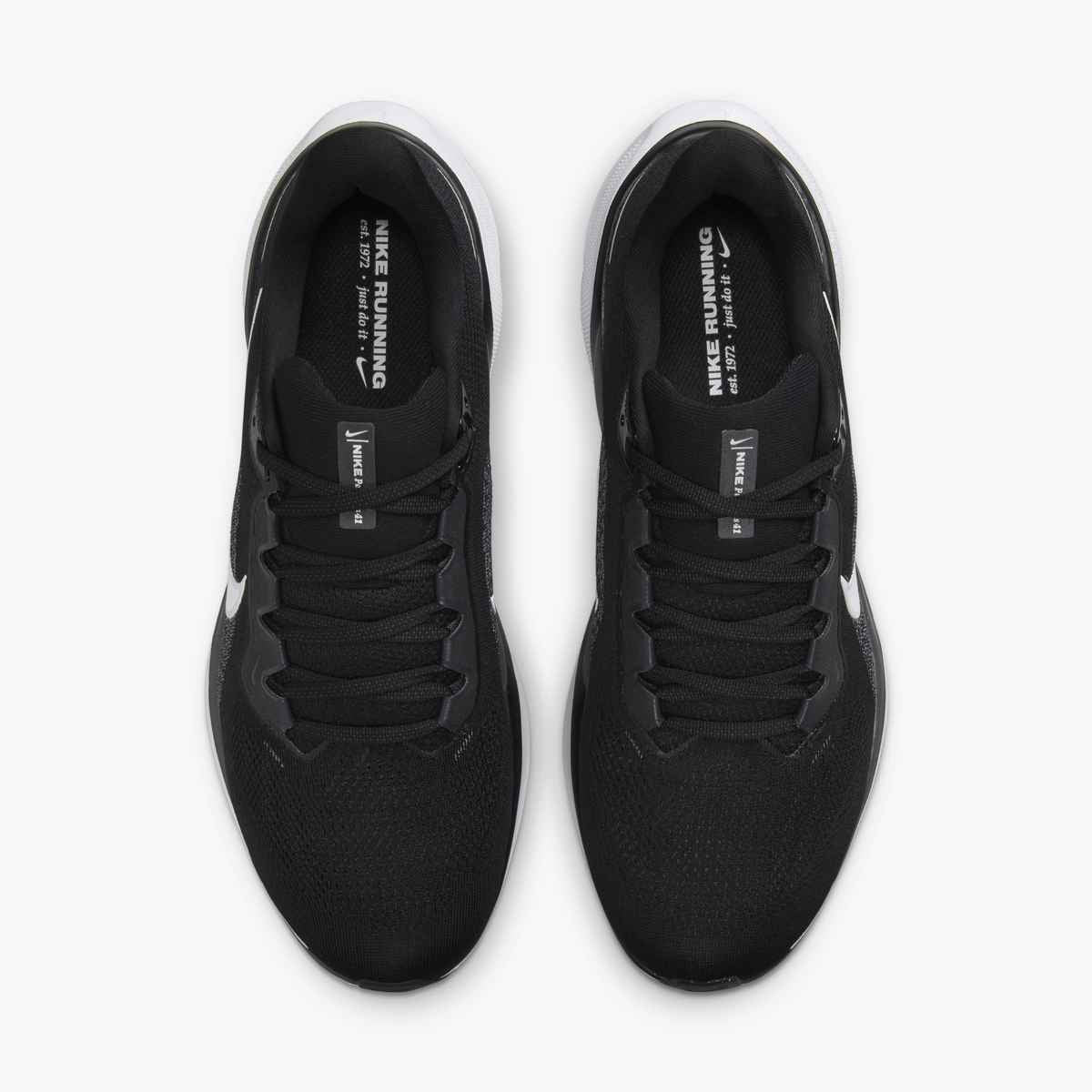 DEPORTIVO NIKE AIR ZOOM PEGASUS 41