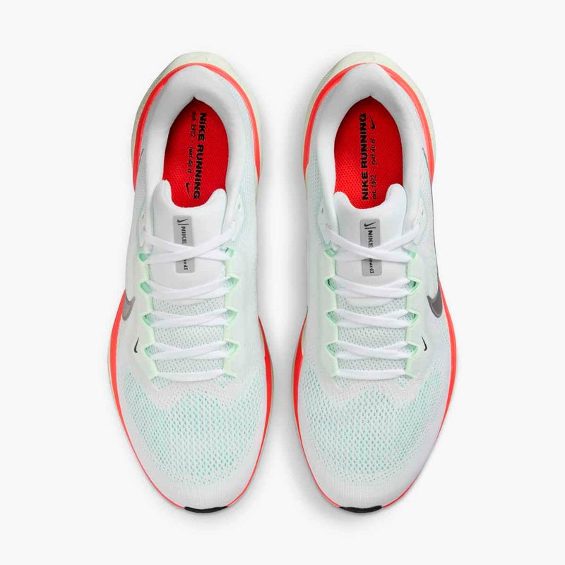 DEPORTIVO NIKE AIR ZOOM PEGASUS 41