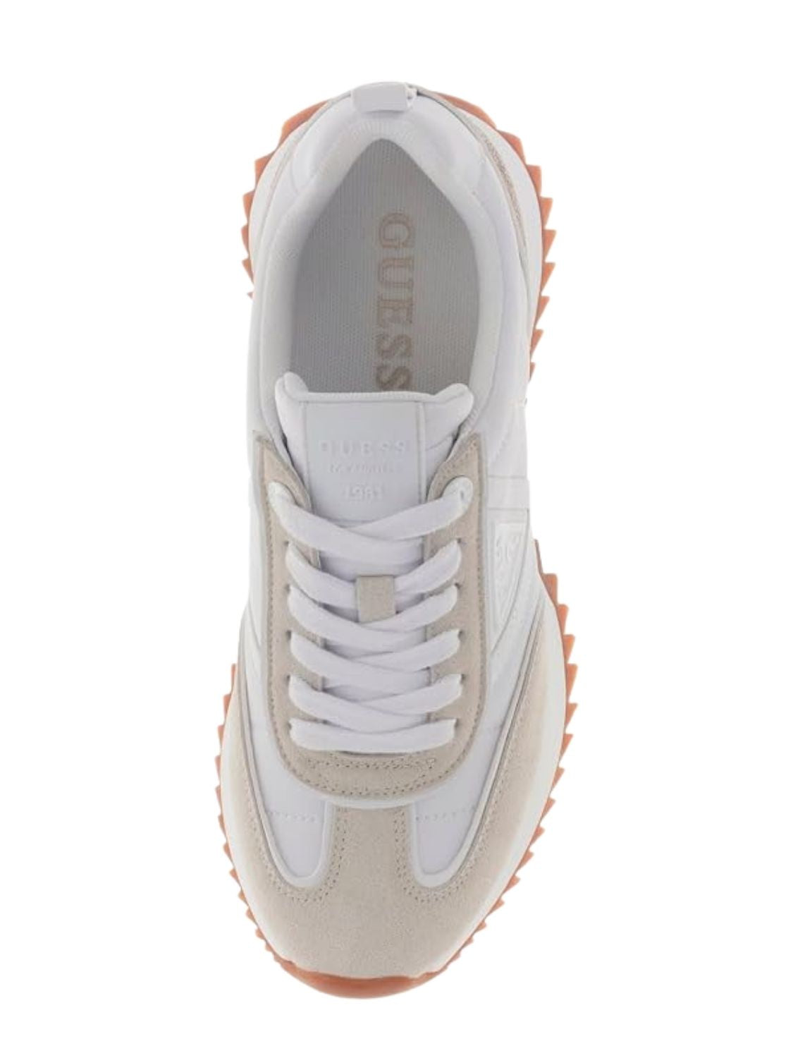 SNEAKER GUESS BAIL2