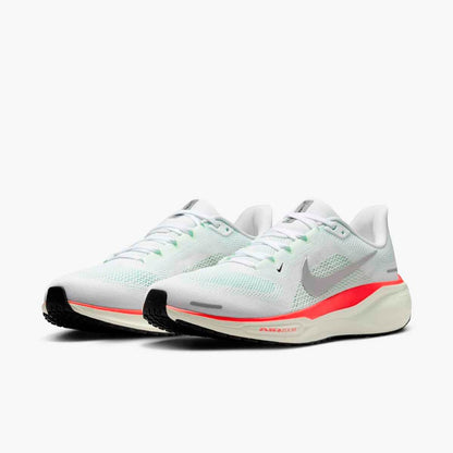 DEPORTIVO NIKE AIR ZOOM PEGASUS 41